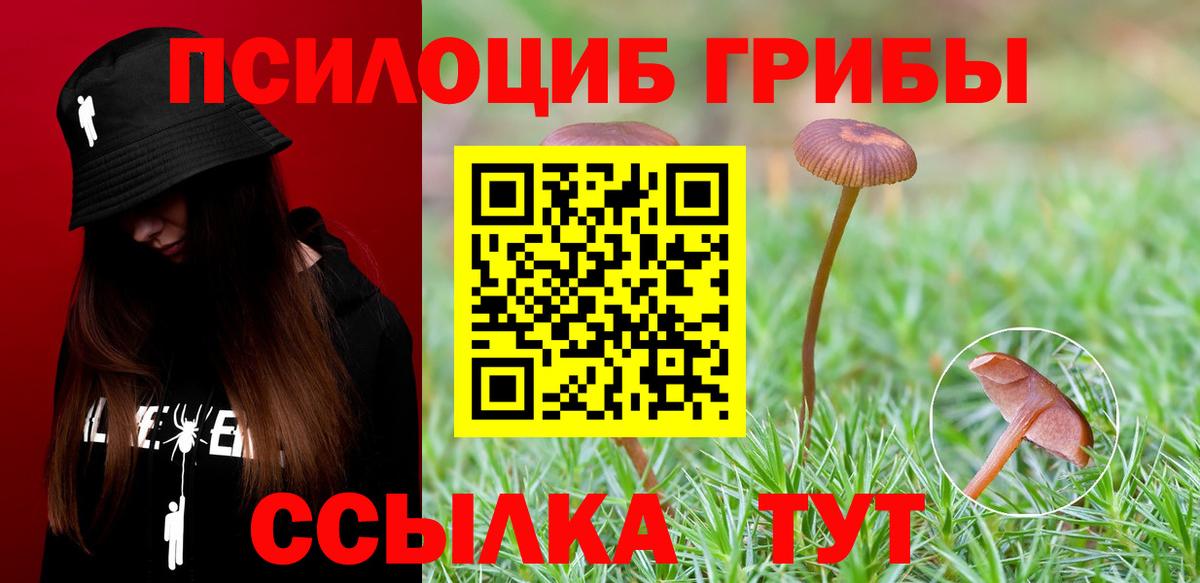 Псилоцибиновые грибы Magic Shrooms Крымск