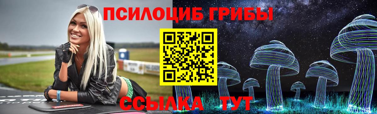 Крымск  Галлюциногенные грибы Psilocybine cubensis  Вход с VPN 